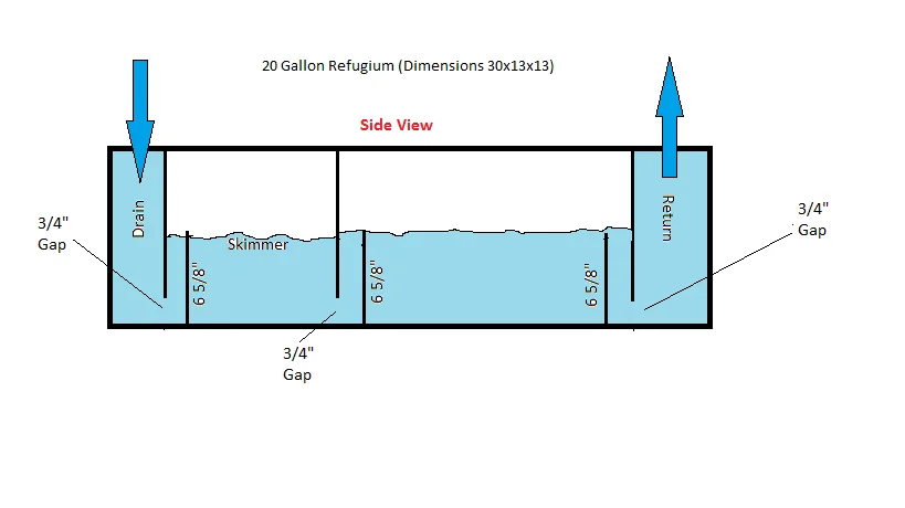 refugium side view 2.webp