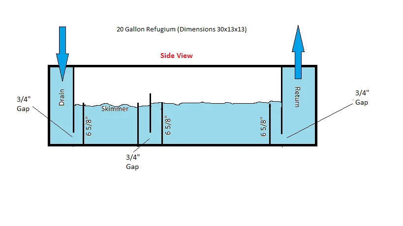 refugium side view 4.webp