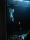 s aquarium 2-09.webp