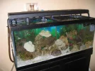 aquarium6.webp