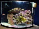 5Gal w-Clown.webp