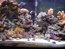 Mid Tank Shot.webp