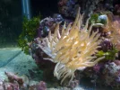 fishtank 057.webp