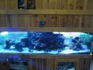 store reef 020.webp