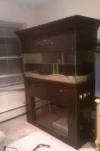 75 gallon tank.webp