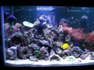 tank may 2011 028.webp