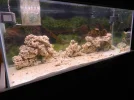 75 gallon salt 001.webp