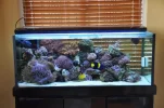 Lidless tank 2011 002.webp