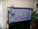 tank set up 006.webp