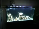 tank set up 013.webp