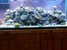 full tank oct 2011.webp