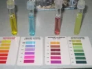 water test 10-26-11.webp