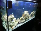 Tank set up 057.webp