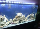 Tank set up 035.webp