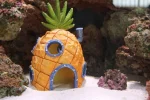 Spongebobs garden.webp