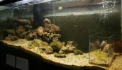 refugium30g.webp