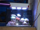 My little tank with LED light01.webp