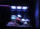 My little tank with LED light02.webp