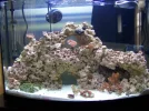 tanked 021.webp