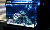 full tank3.webp