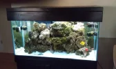 90gallon1.webp