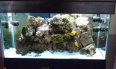 90gallon2.webp