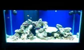 MY TANK.webp