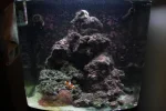 Aquarium 006.webp