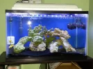 Tank Day 15[1].webp