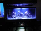 Aquarium 1.webp