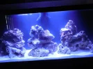 Aquarium 2.webp