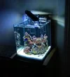 nano tank.webp nano tank.webp