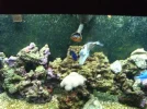 my tank 062.webp