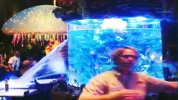 268012959001_3356661801001_WDW-FISH-TANK-LEAK-transfer.webp