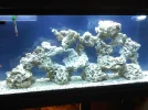 1 tank update 1.webp