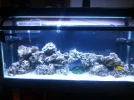 1 tank update 2.webp