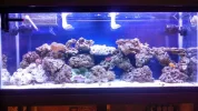 1 tank update 3.webp