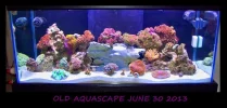 06 30 13 OLD AQUASCAPE.webp