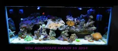 04 07 14 FULL TANK NEW AQUASCAPE.webp