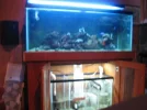 new sump 064.webp