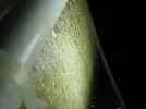 algae scrubber 073.webp