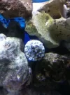 ZOas.webp