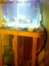 tank sump room.webp