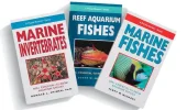 lg-29757-39815-fish-book.webp