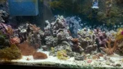 my tank.webp