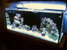 full tank pic dec 2010.webp