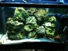 saltwater build 008.webp