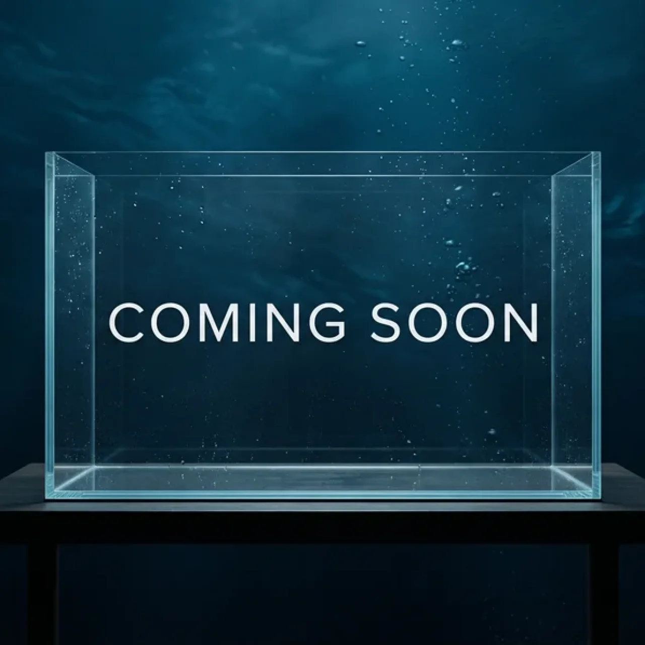 The $500 Reef Challenge