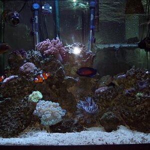 aquarium 009.jpg