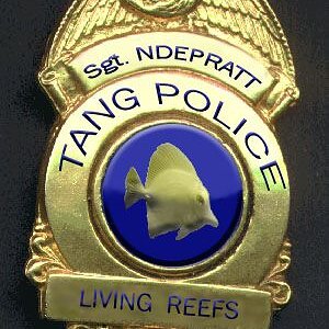 Tang Police.jpg